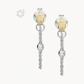 化石/Fossil Elliott Diamonds By The Yard Stars Two-Tone Sterling Silver Front to Back Earring JFS00559998